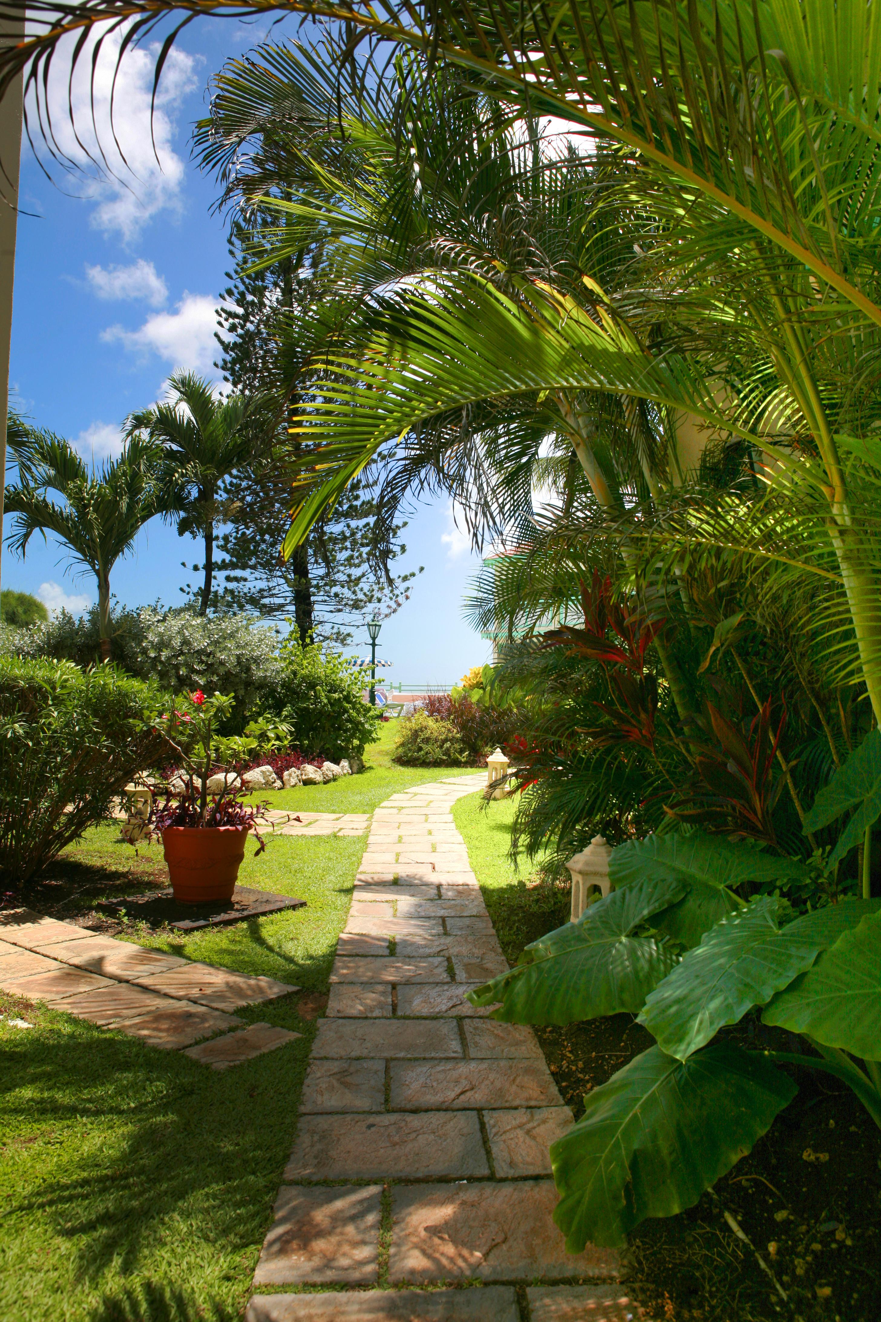 Blue Orchids Beach Hotel Bridgetown Eksteriør billede